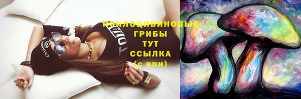 СК Вяземский