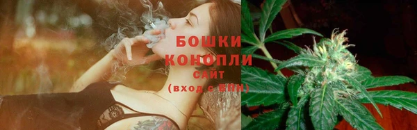 СК Вяземский
