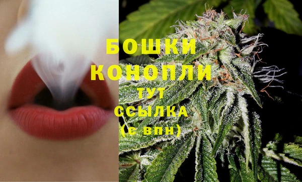 PSILOCYBIN Вязьма